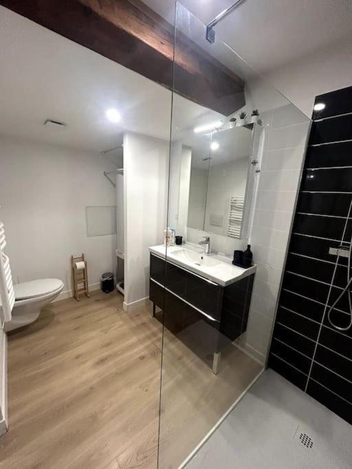 Cocon Chaleureux Au Coeur De Mirepoix Apartment Mirepoix  Ngoại thất bức ảnh